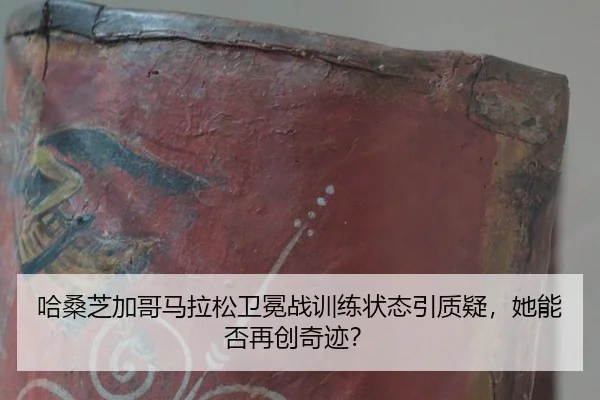 ha-sang-zhi-jia-ge-ma-la-song-wei-mian-zhan-xun-lian-zhuang-tai-yin-zhi-yi-ta-neng-fou-zai-chuang-qi-ji-2-278.jpg